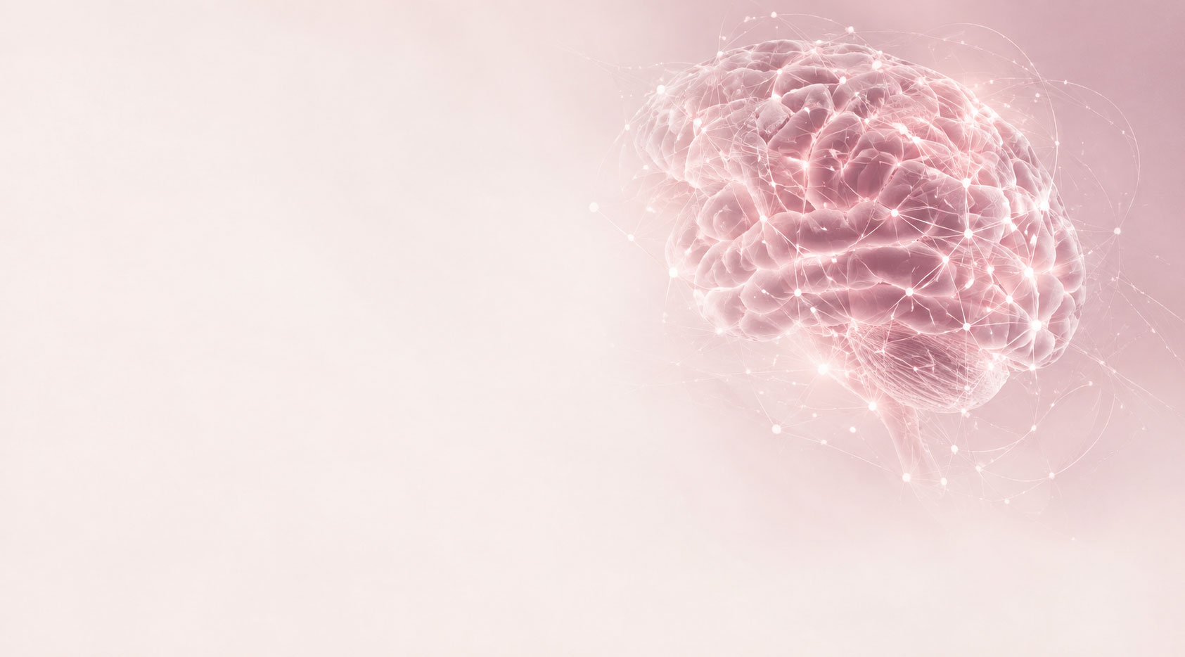 Brain and neural network study