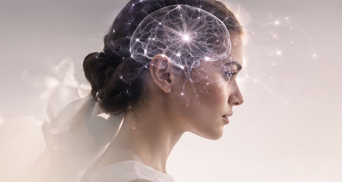 Neural network illustration